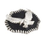 Eagle on Black Background